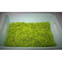 TRUCIOLO CARTA BUSTA 1kg VERDE CHIARO