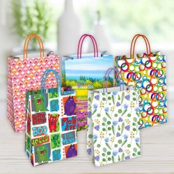 BORSA CARTA EVERYDAY MIS.36x12x41cm ASS.TO GEN1 1pz