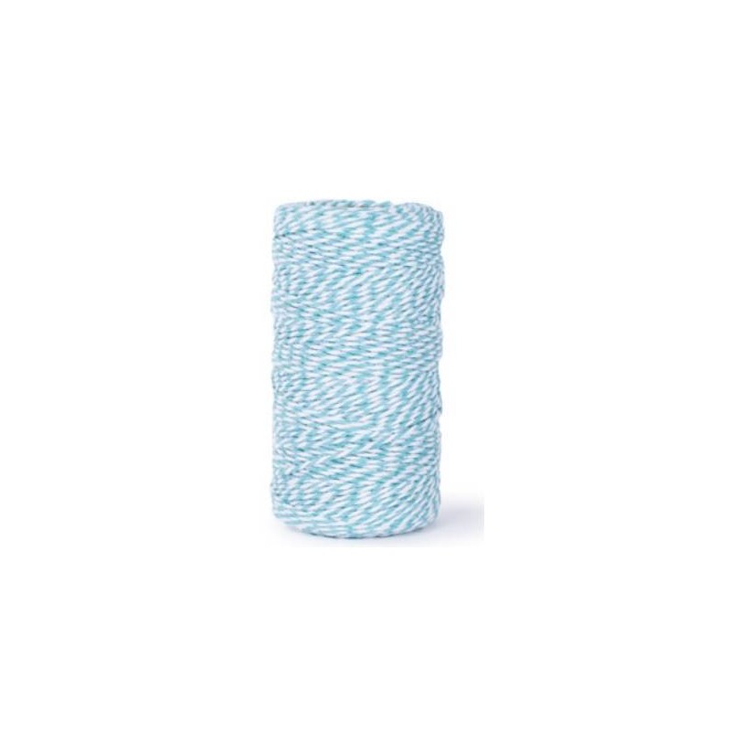 CORDINO BICOLORE COTONE mm1x100mt BIANCO-AZZURRO