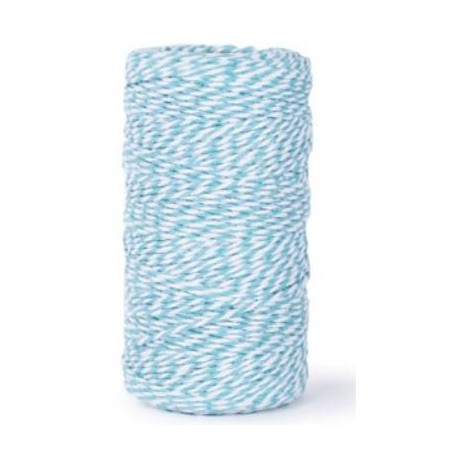 CORDINO BICOLORE COTONE mm1x100mt BIANCO-AZZURRO