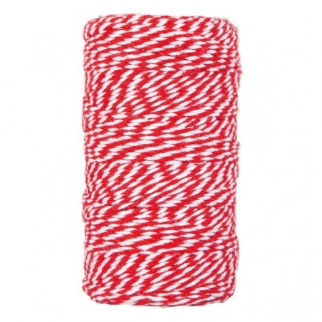 CORDINO BICOLORE mm2x100mt ROSSO/BIANCO