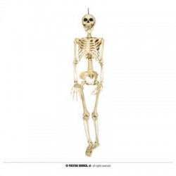 SCHELETRO 90cm