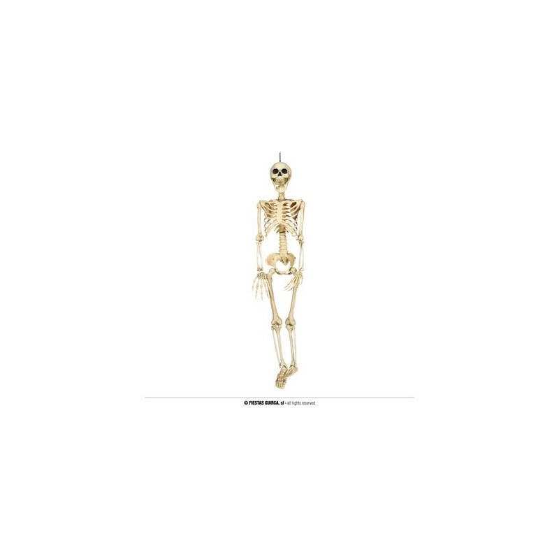 SCHELETRO 90cm