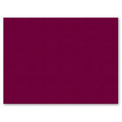 TOVAGLIETTE 30x40cm CARTA BORDEAUX 250PZ FATO