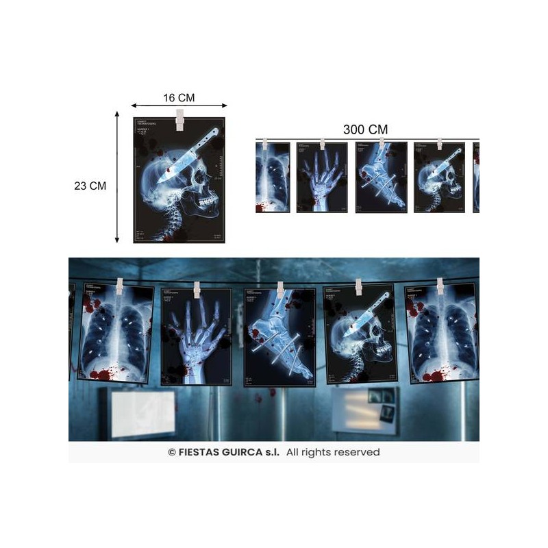 FESTONE RADIOGRAFIE SCHELETRO 3mt IN CARTA