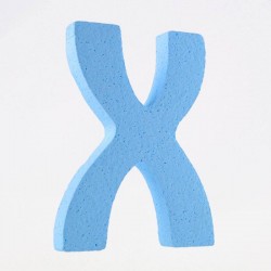 LETTERA POLISTIROLO PASTELLO mm120x90 X CELESTE