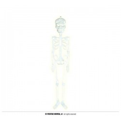 SCHLELETRO FLUORESCENTE 75 CM