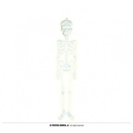 SCHLELETRO FLUORESCENTE 75 CM