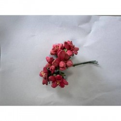 FIORE ROSA MAIS GRANDE ROSA 6pz