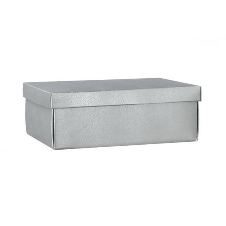 SCATOLA F/COP EASY 34x25x12cm SKIN ARGENTO