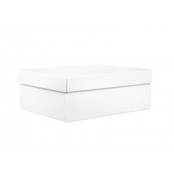 SCATOLA F/COPERCHIO LINEA 1000 38,5x30x14cm BIANCO PERLA...