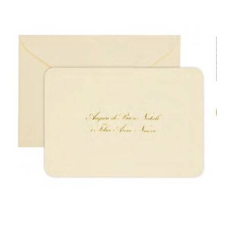 BIGLIETTI + BUSTA 16,8X11,1cm CAMOSCIO C/STAMPA CALDO 50pz