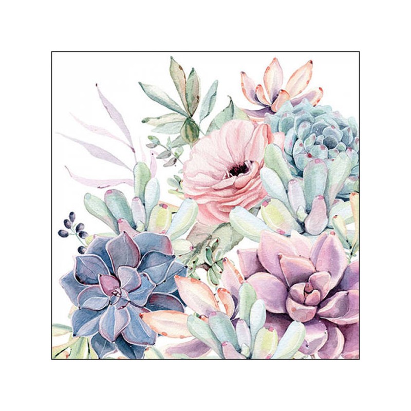 TOVAGLIOLI 33x33 PIANTA GRASSA LOVE 20pz