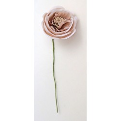 RANUNCOLO Ø 3,5cm COLOR FANGO 6pz