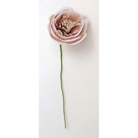 RANUNCOLO Ø 3,5cm COLOR FANGO 6pz