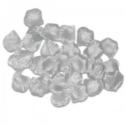 PETALI BUSTA 144pz ARGENTO