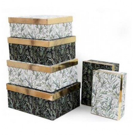 SCATOLA NERO /BIANCO FOGLIE 6/6