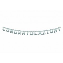 FESTONE CONGRATULAZIONI 15x225cm ARGENTO METAL