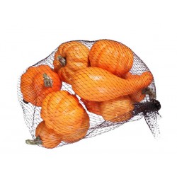 ZUCCHE ASSORITE IN RETE 8pz