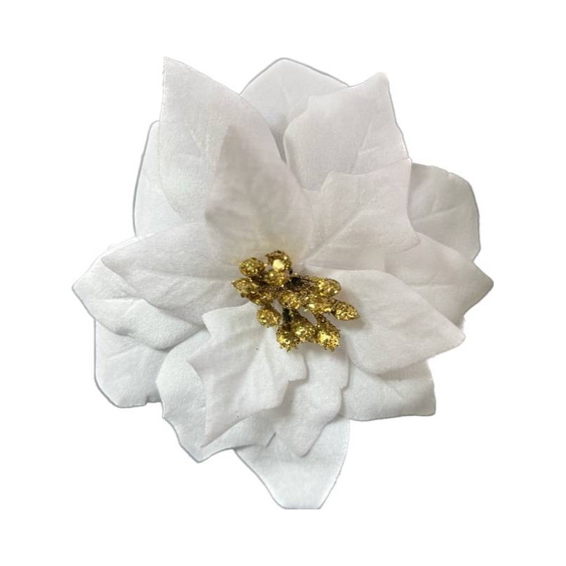 PICKS STELLA ø13cm 12cm BIANCO 6pz