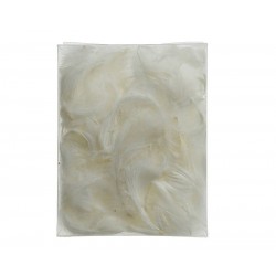 BUSTA PIUME BIANCHE 5gr