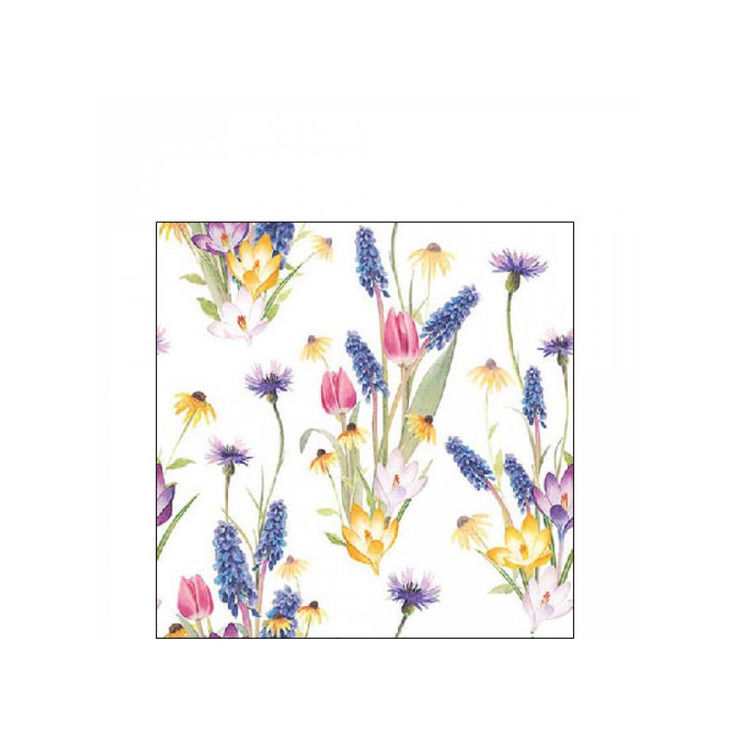 TOVAGLIOLI 25x25 HELLO SPRING 20pz