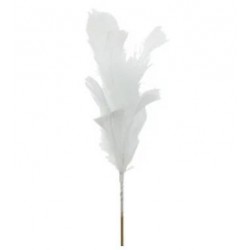 PIUME BIANCHE 20cm 12pz