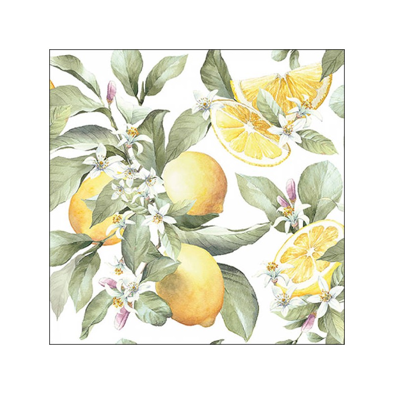 TOVAGLIOLI 33x33 LIMONI 20pz