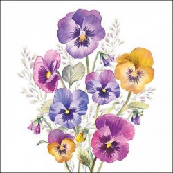 TOVAGLIOLI 33x33 PANSIES 20pz