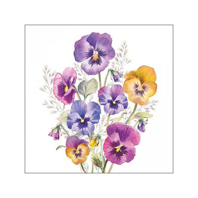 TOVAGLIOLI 33x33 PANSIES 20pz