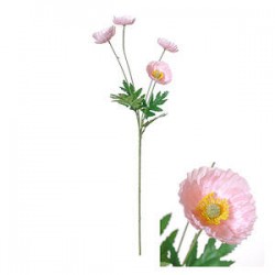 STELO POPPY  LIGHT PINK 70cm