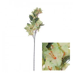 STELO BOUGAINVILLEA VERDE CHIARO 76cm