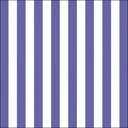 TOVAGLIOLI 33x33 RIGHE BLU 20pz