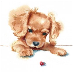 TOVAGLIOLI 33x33 CANE & COCCINELLA 20pz