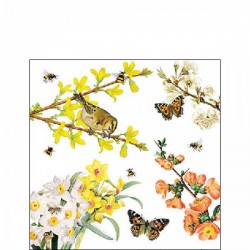 TOVAGLIOLI 25x25 SPRING AWAKENING 20pz