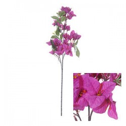STELO BOUGAINVILLEA VIOLA 76cm