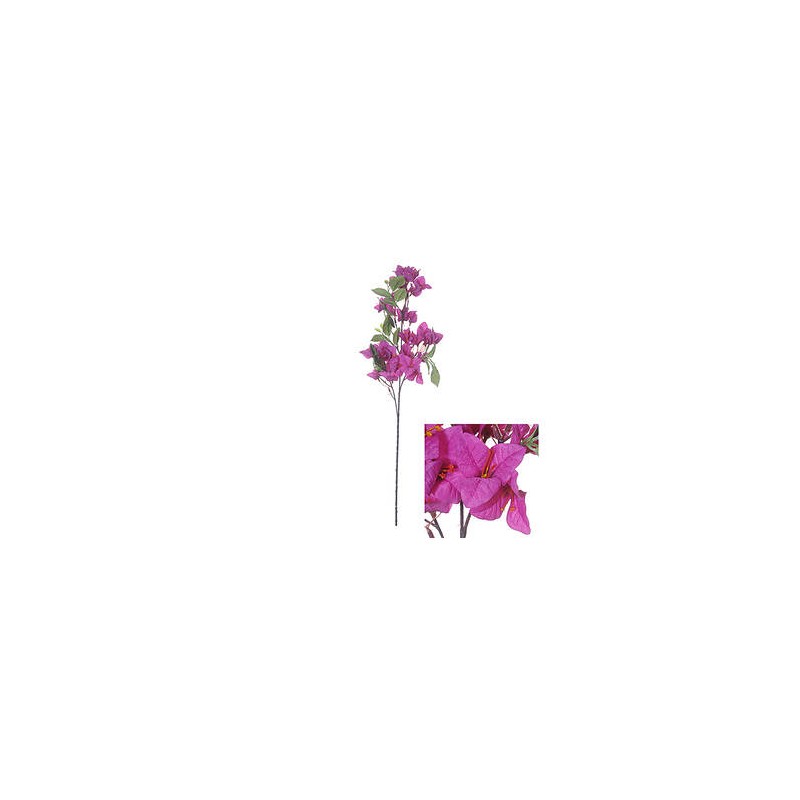 STELO BOUGAINVILLEA VIOLA 76cm
