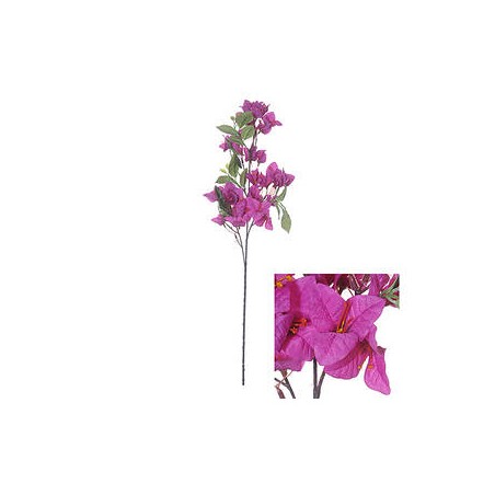 STELO BOUGAINVILLEA VIOLA 76cm