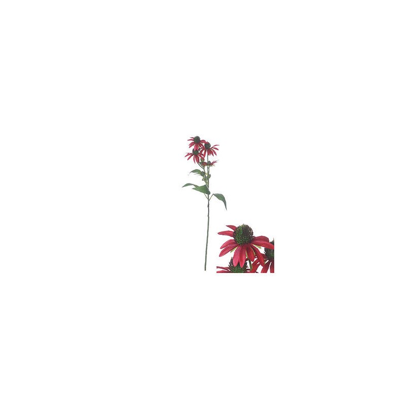 STELO BOUGAINVILLEA ROSSO 76cm