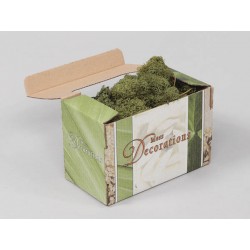 LICHENE FINLAND MOSS 50gr