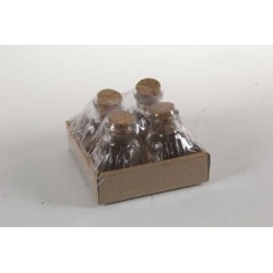 BOTTIGLIA VETRO 60ml 4pz 753084