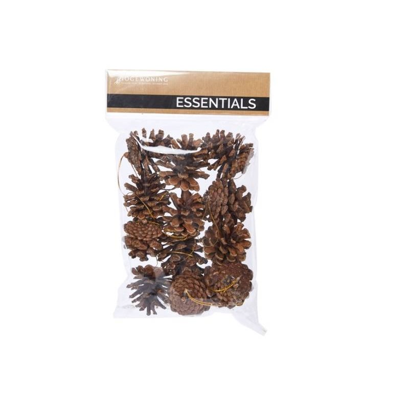 PIGNE CON LACCIO 12pz IN BUSTA