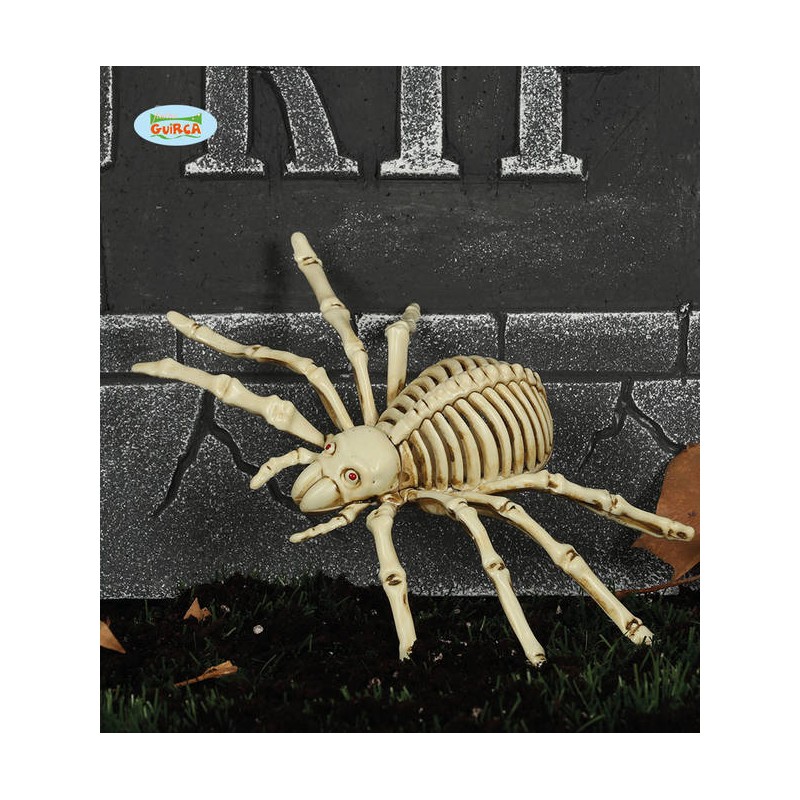SCHELETRO RAGNO 24cm