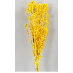 RAMETTO CARTHAMUS 100gr H50cm colore - 006 Giallo