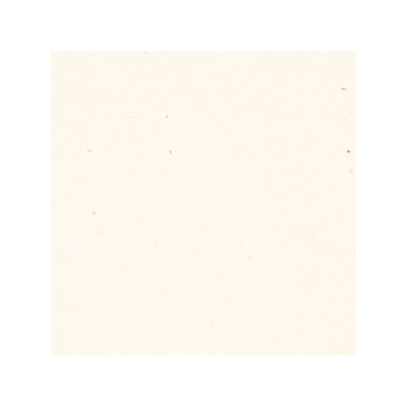 CARTA A4 21x29,7cm FLORA BEIGE gr.130 25fg