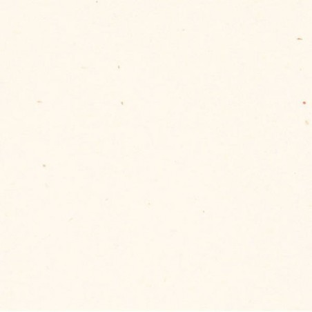 CARTA A4 21x29,7cm FLORA BEIGE gr.130 25fg