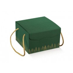 SCATOLA SEGRETO C/CORDINI 21x21x21cm GREEN FOREST