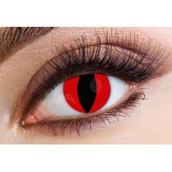 LENTI A CONTATTO GIORNALIERE RED CAT