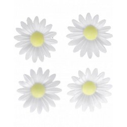 MARGHERITA IN CIALDA 4pz BIANCA