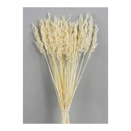 AVENA SBIANCATA BUSTA 100gr